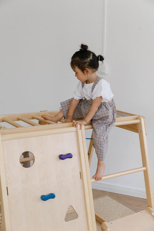 Rock Climber Set